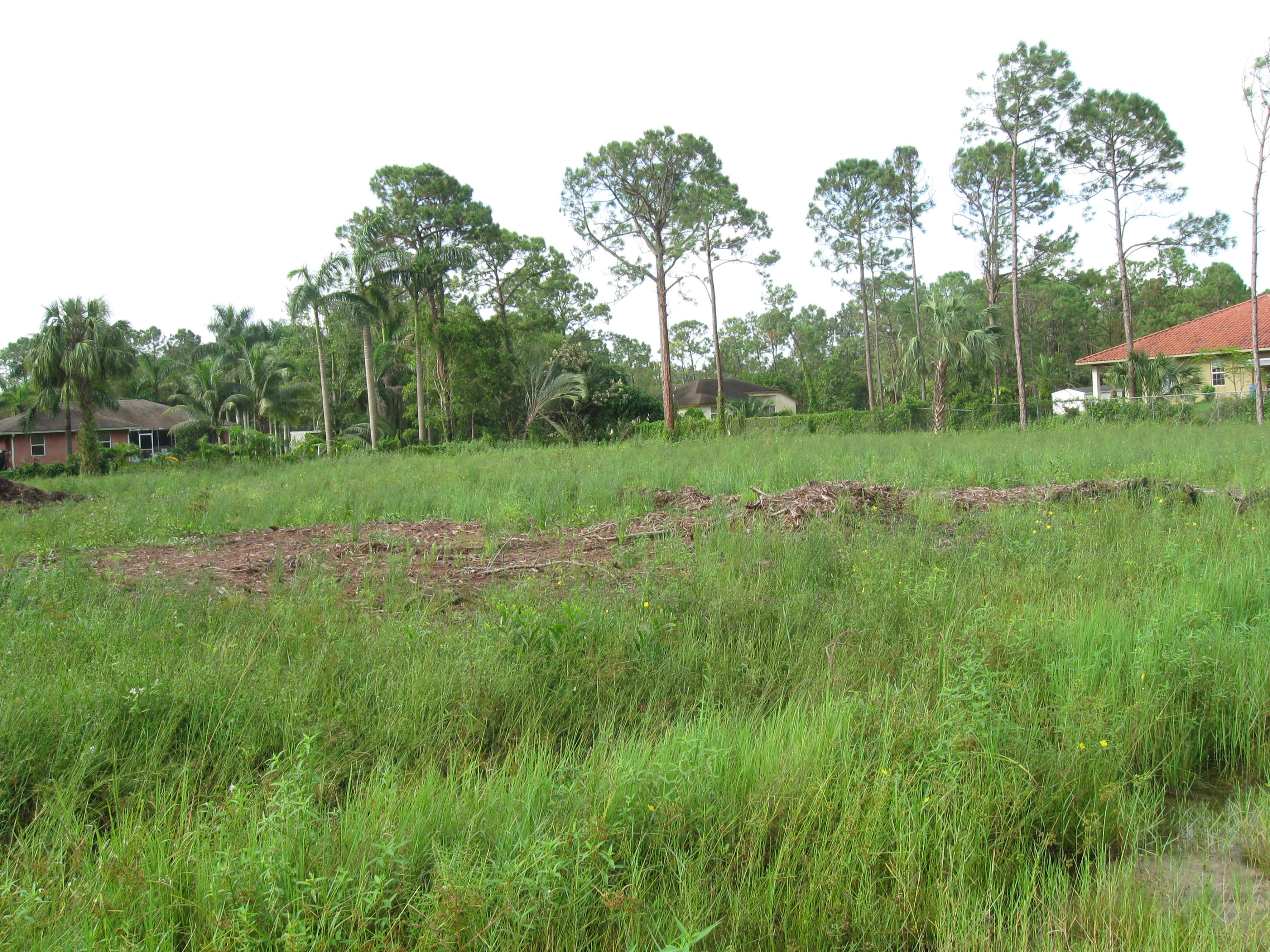 17802 31st Road North Loxahatchee, FL 33470 - Photo 1 of 1 IMG_0285