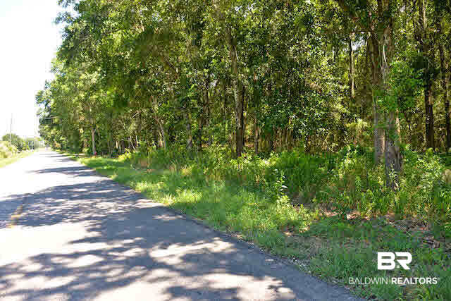 3851 Fowl River Road Theodore, AL 36582 - Photo 6 of 6 Road Frontage