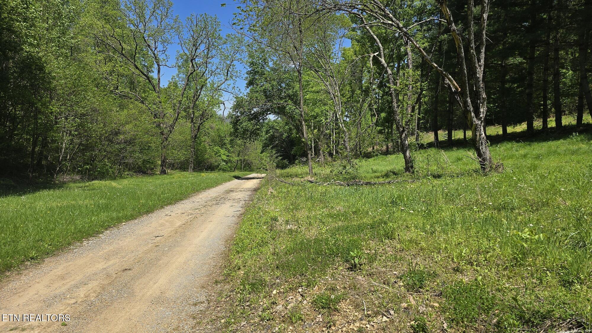 1-3 Dooley Hollow Road Ewing, VA 24248 - Photo 2 of 15 6
