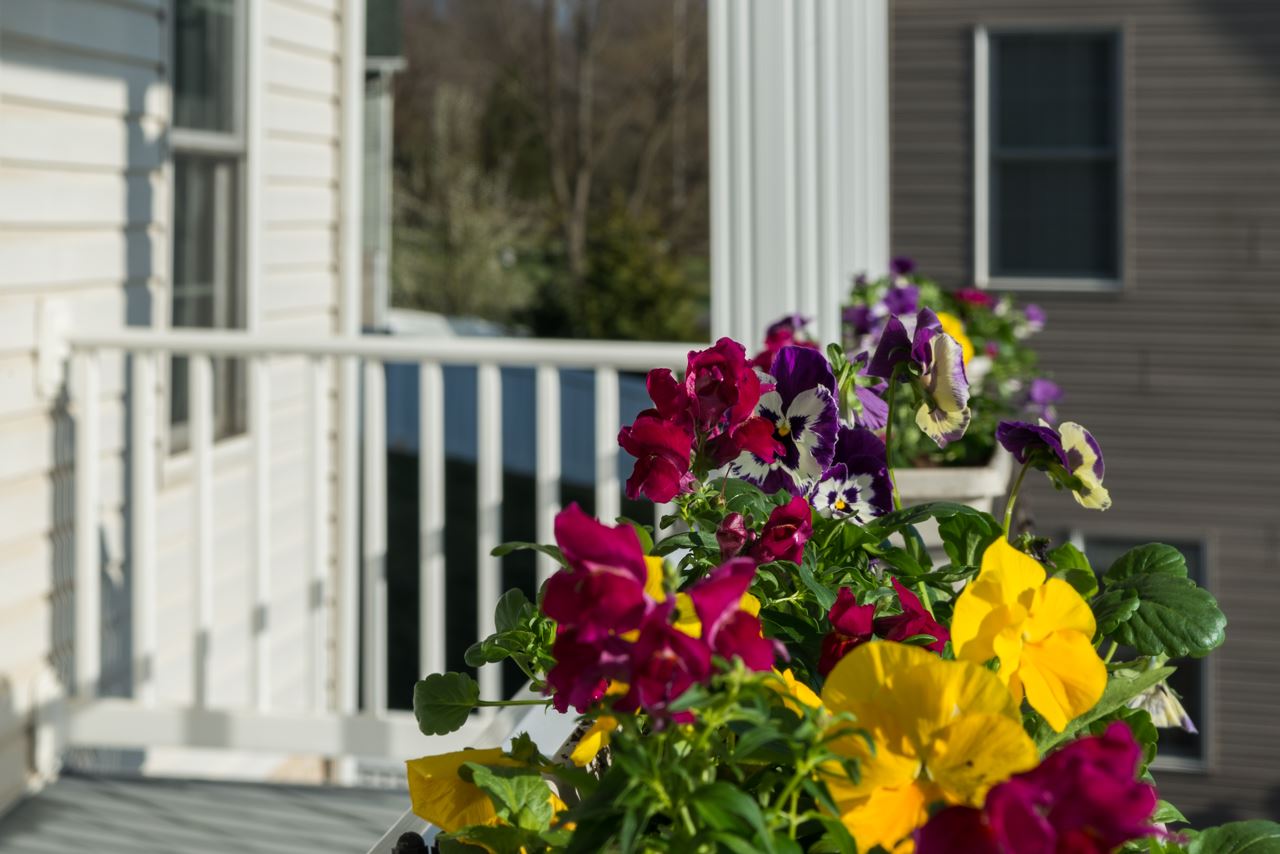 720 Stone Spring Road Harrisonburg, VA 22801 - Photo 10 of 40 Gallery Image 10