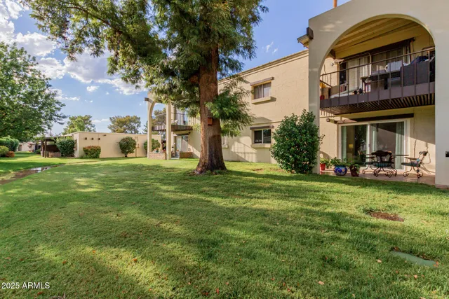 a view of a park with large trees