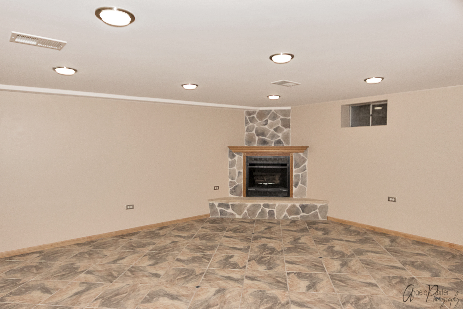 39240 North Winchester Road Wadsworth, IL 60083 - Photo 19 of 28 a view of empty room with a fireplace