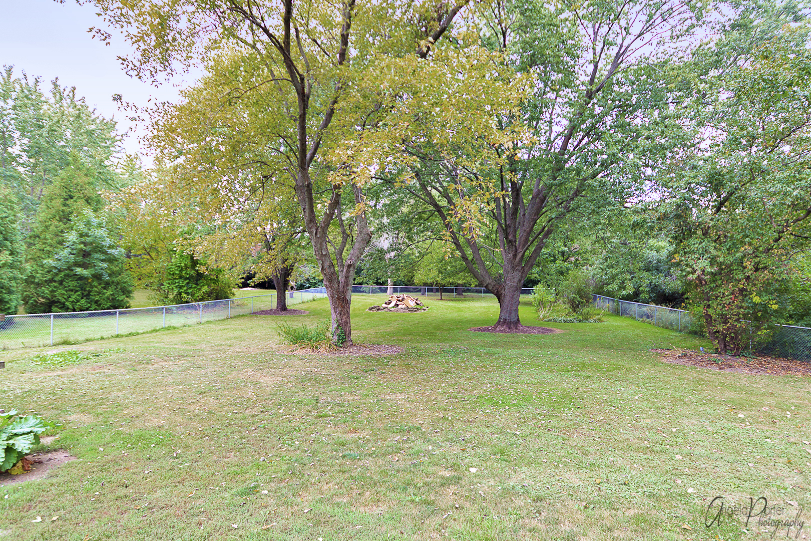39240 North Winchester Road Wadsworth, IL 60083 - Photo 27 of 28 a view of a field with trees