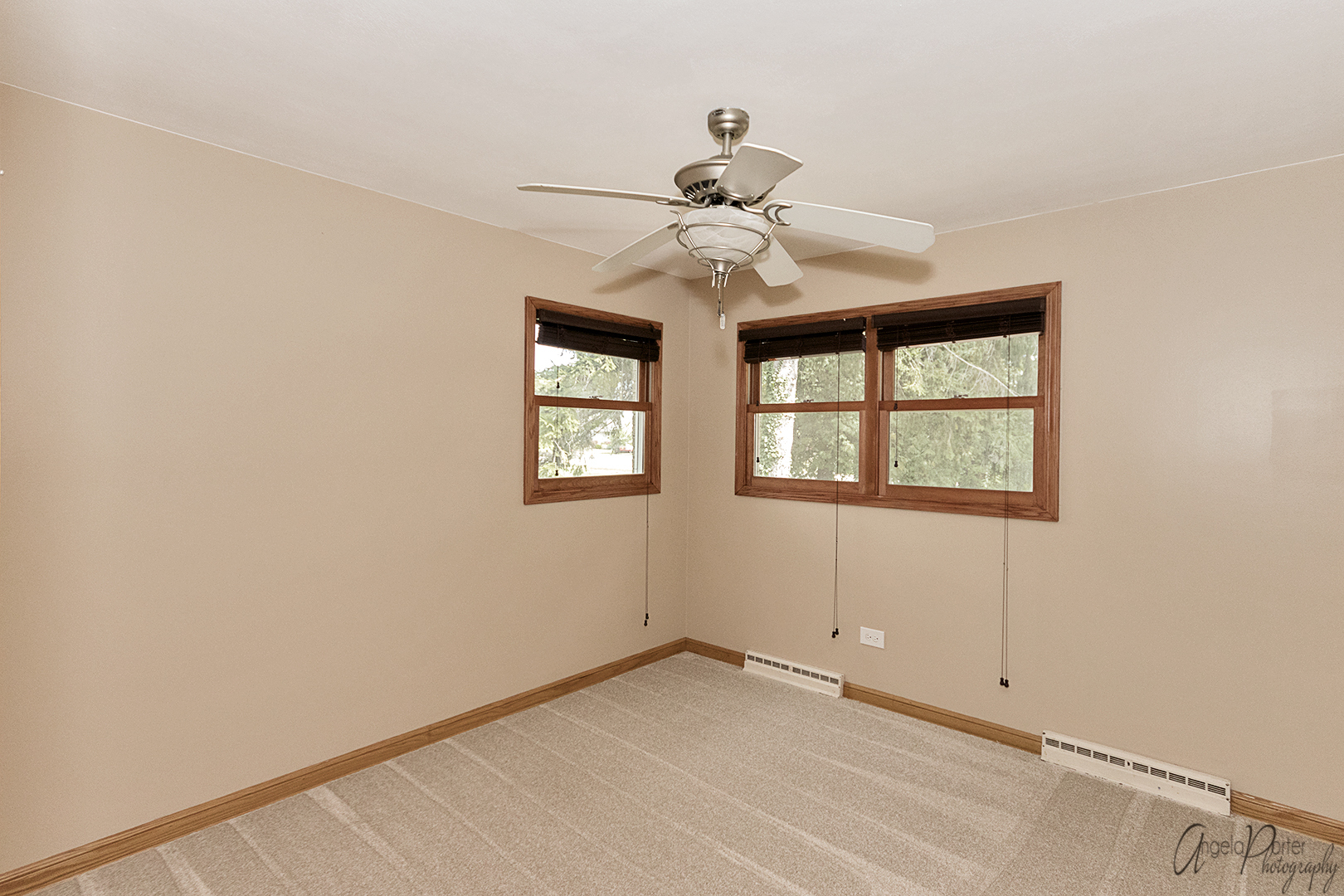 39240 North Winchester Road Wadsworth, IL 60083 - Photo 10 of 28 an empty room with windows and fan