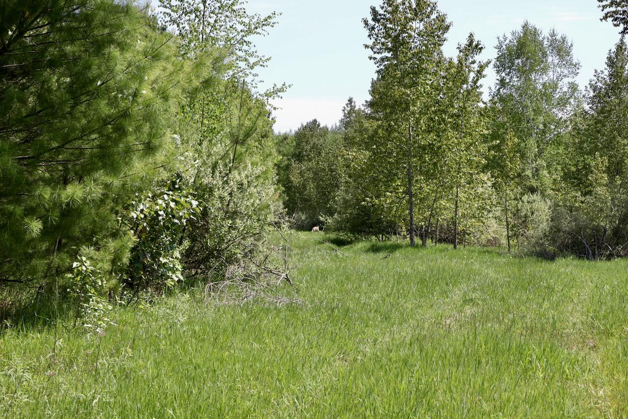 0 East Highwood Road Beaverton, MI 48612 - Photo 52 of 67 IMG_2529