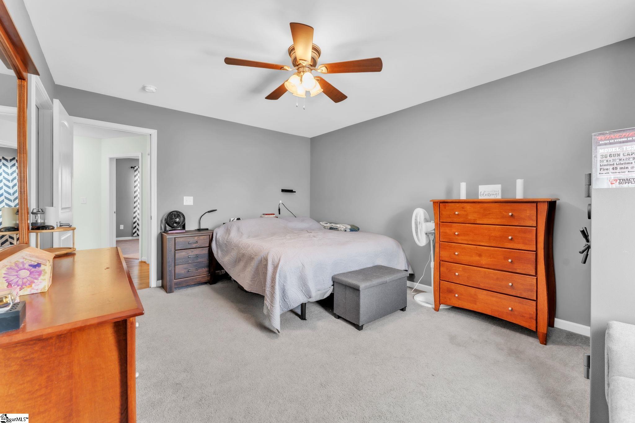 206 Destiny Drive Gray Court, SC 29645 - Photo 11 of 25