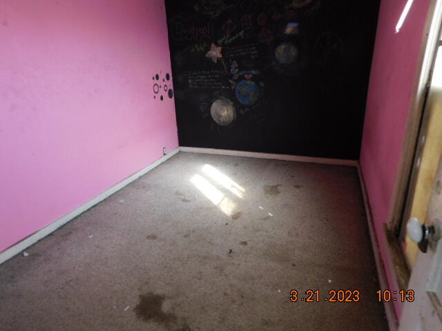 8111 Genesee Road Allen, MI 49227 - Photo 11 of 12 DSCN8892