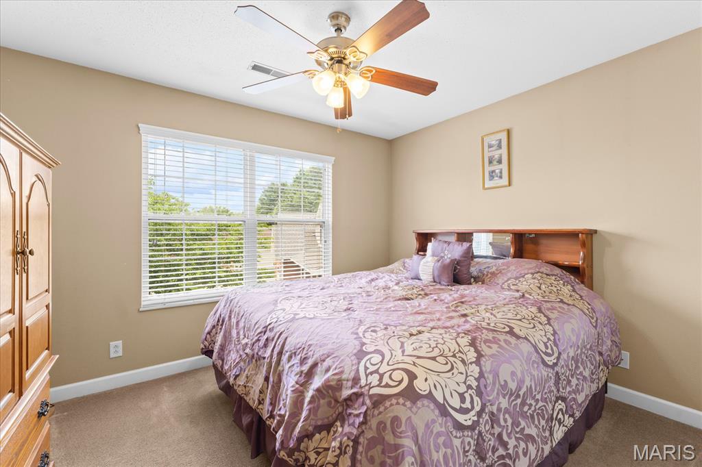 400 Grand Orchid Road O'Fallon, IL 62269 - Photo 27 of 46