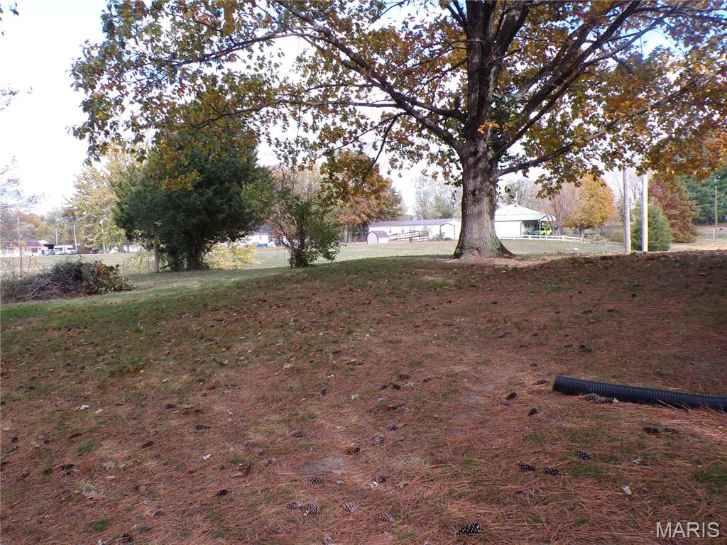 331 North Minnie Avenue Tilden, IL 62292 - Photo 12 of 32