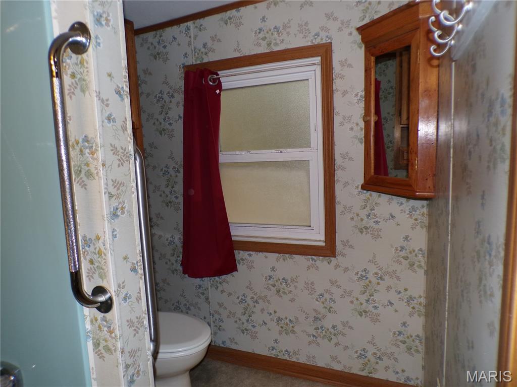 331 North Minnie Avenue Tilden, IL 62292 - Photo 31 of 32