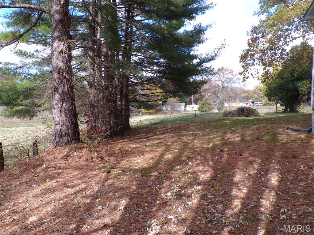 331 North Minnie Avenue Tilden, IL 62292 - Photo 9 of 32