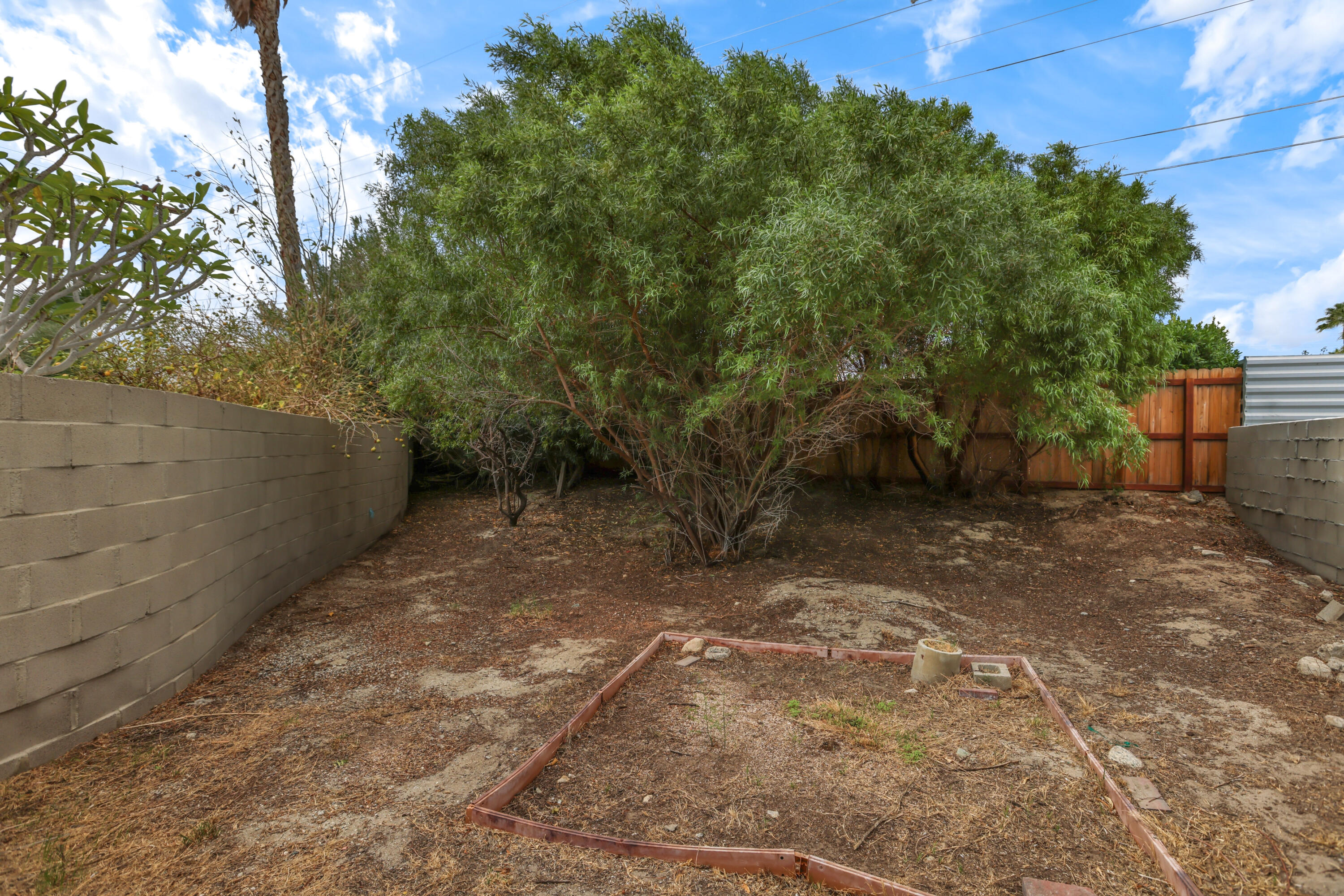 2839 North Davis Way Palm Springs, CA 92262 - Photo 29 of 29 a view of a yard with trees