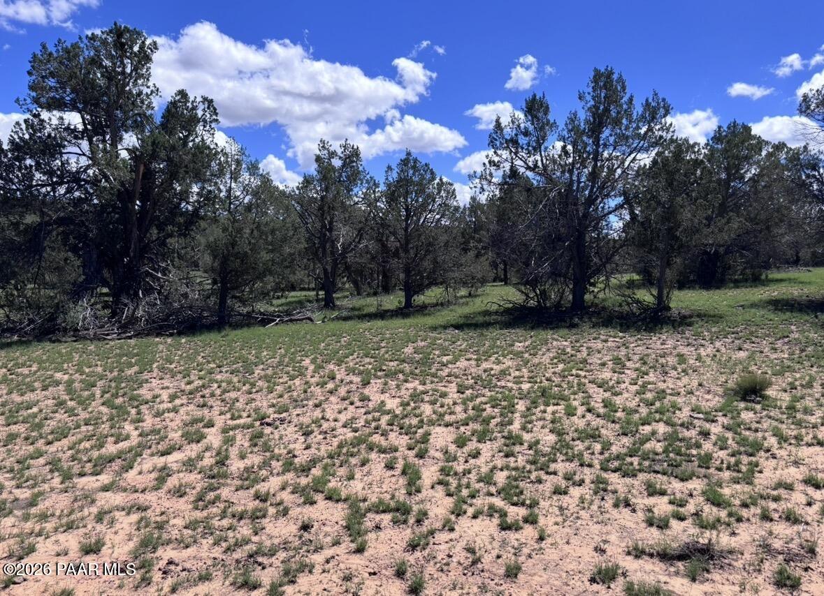 220 Six Shooter Road Williams, AZ 86046 - Photo 19 of 32 IMG_4357