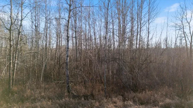 $199,999 | 103 County Road 103, Barnum, MN 55707