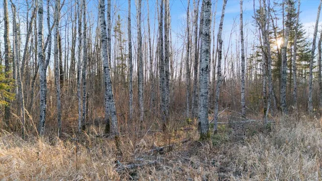 $199,999 | 103 County Road 103, Barnum, MN 55707