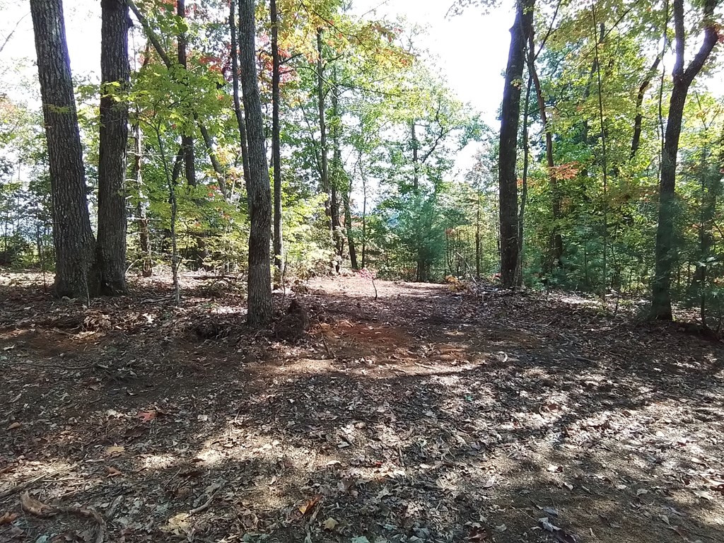 End Of Tanglewood Ridge Murphy, NC 28906 - Photo 13 of 38