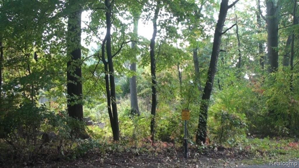 5304 Hillcrest Road Clarkston, MI 48346 - Photo 7 of 55 Wooded seclusion