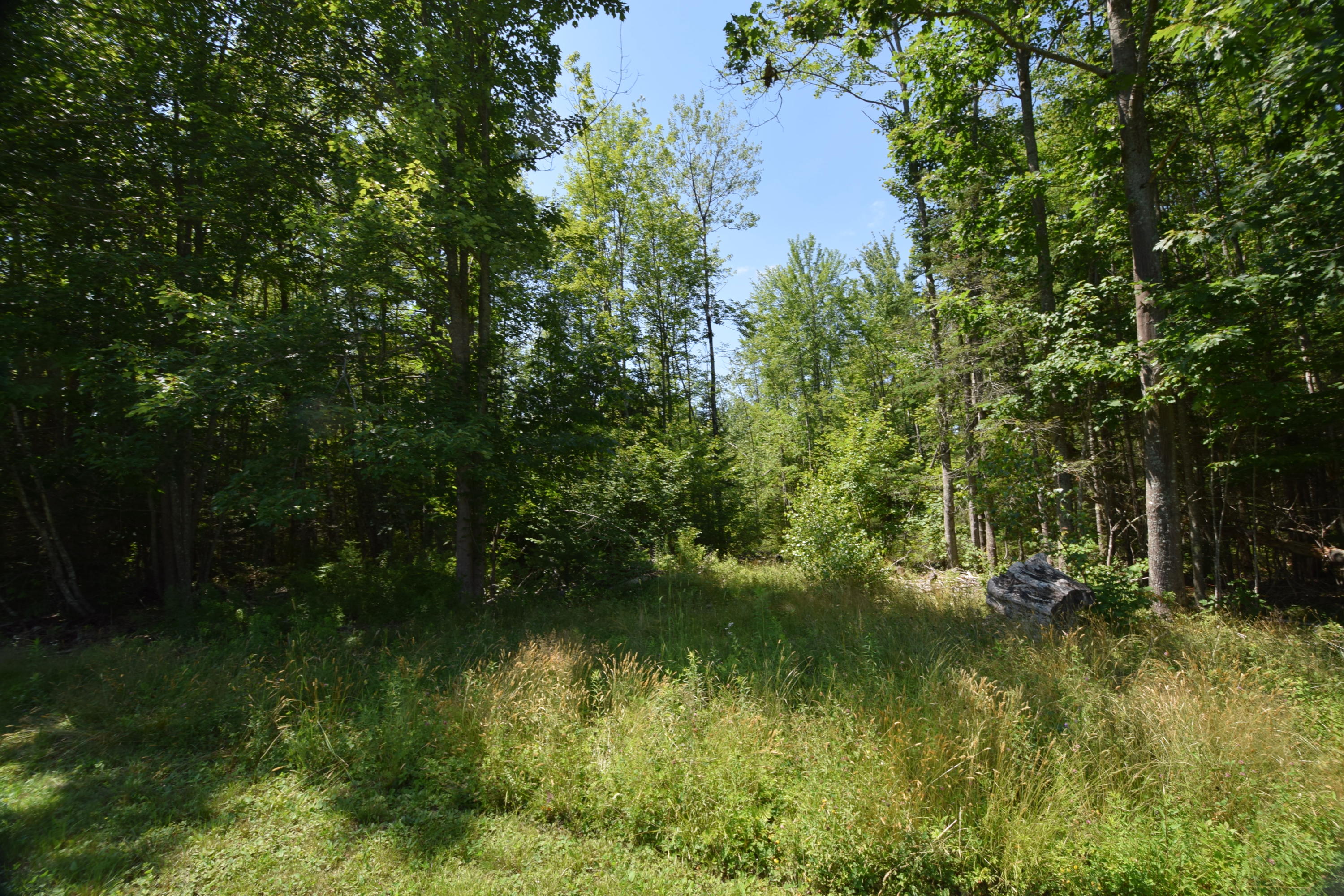 M5-l86a Johnson Mill Road Orrington, ME 04474 - Photo 10 of 18 Old road going into the wooded area...