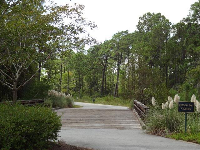 9 Redbud Ln Inlet Beach Inlet Beach, FL 32461 - Photo 2 of 7 a view of backyard with green space