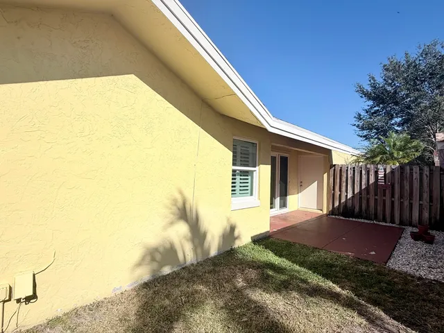 a view of a backyard with plants and large tree