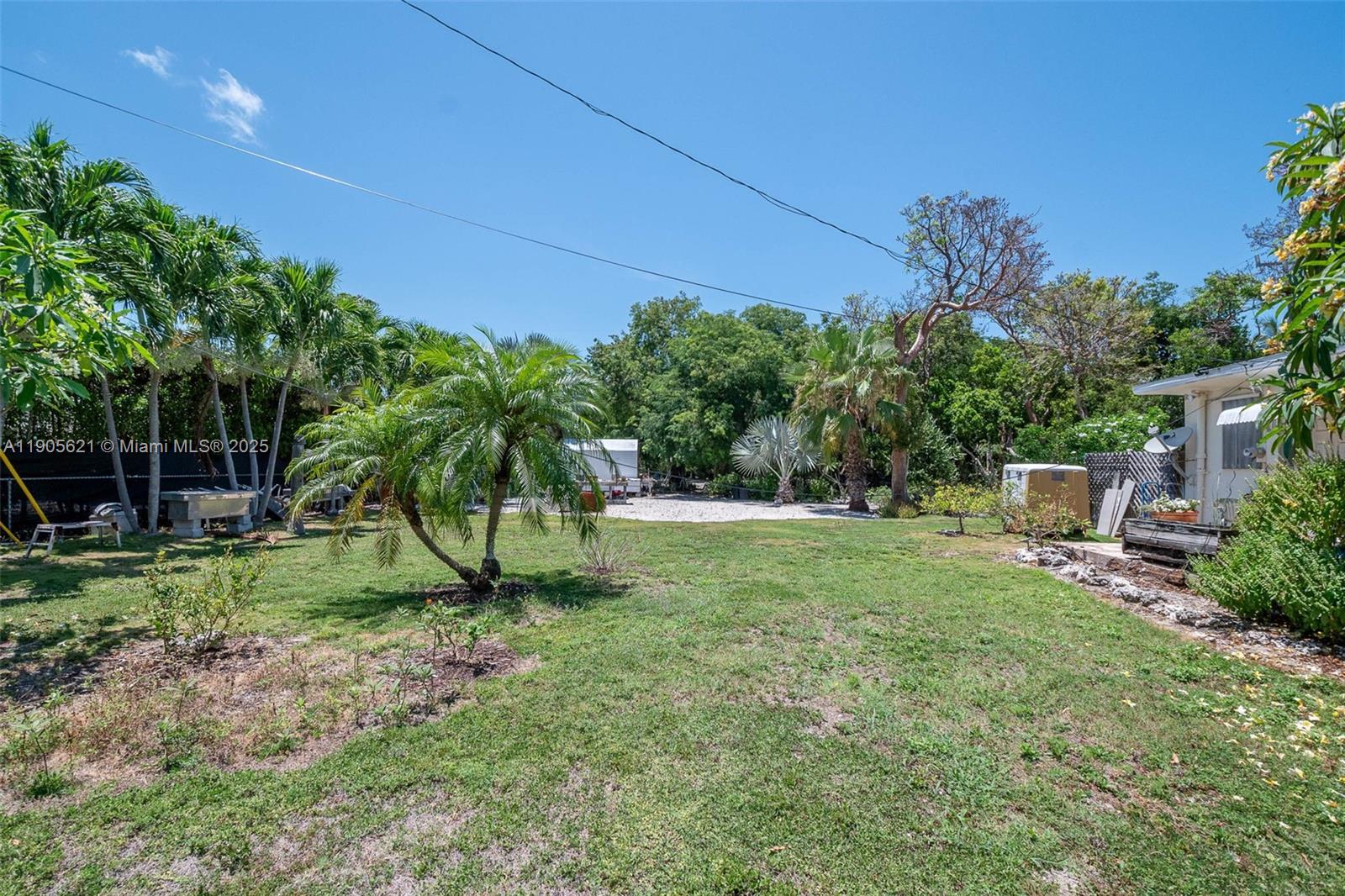 306 Lime Street Key Largo, FL 33037 - Photo 20 of 37 a view of a backyard with plants and a slide