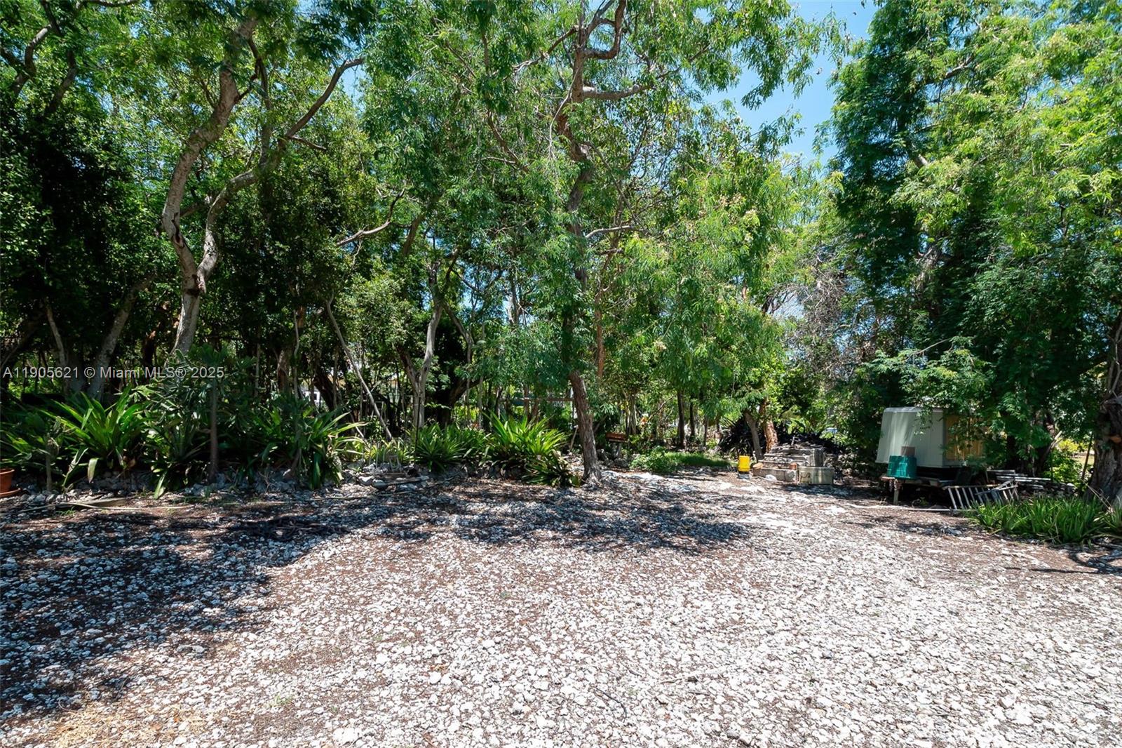 306 Lime Street Key Largo, FL 33037 - Photo 29 of 37 a view of outdoor space with deck and trees