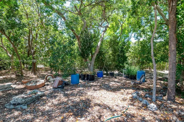 a view of a plants in backyard