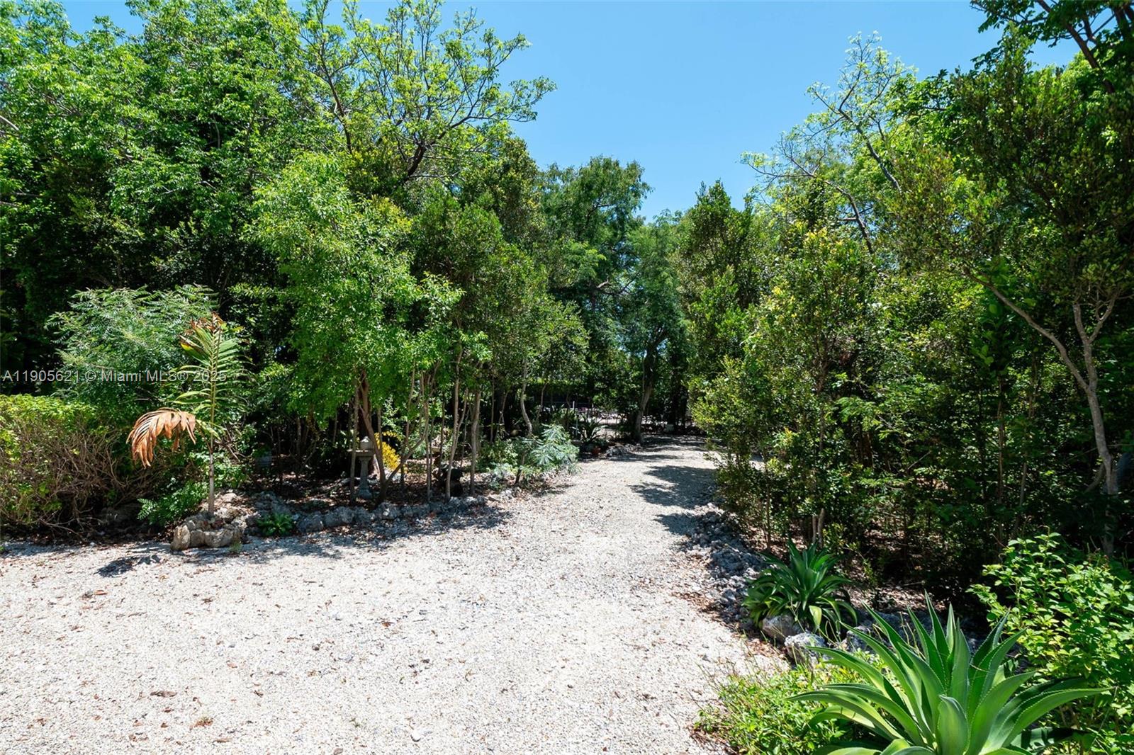306 Lime Street Key Largo, FL 33037 - Photo 35 of 37 a view of a park with plants and trees