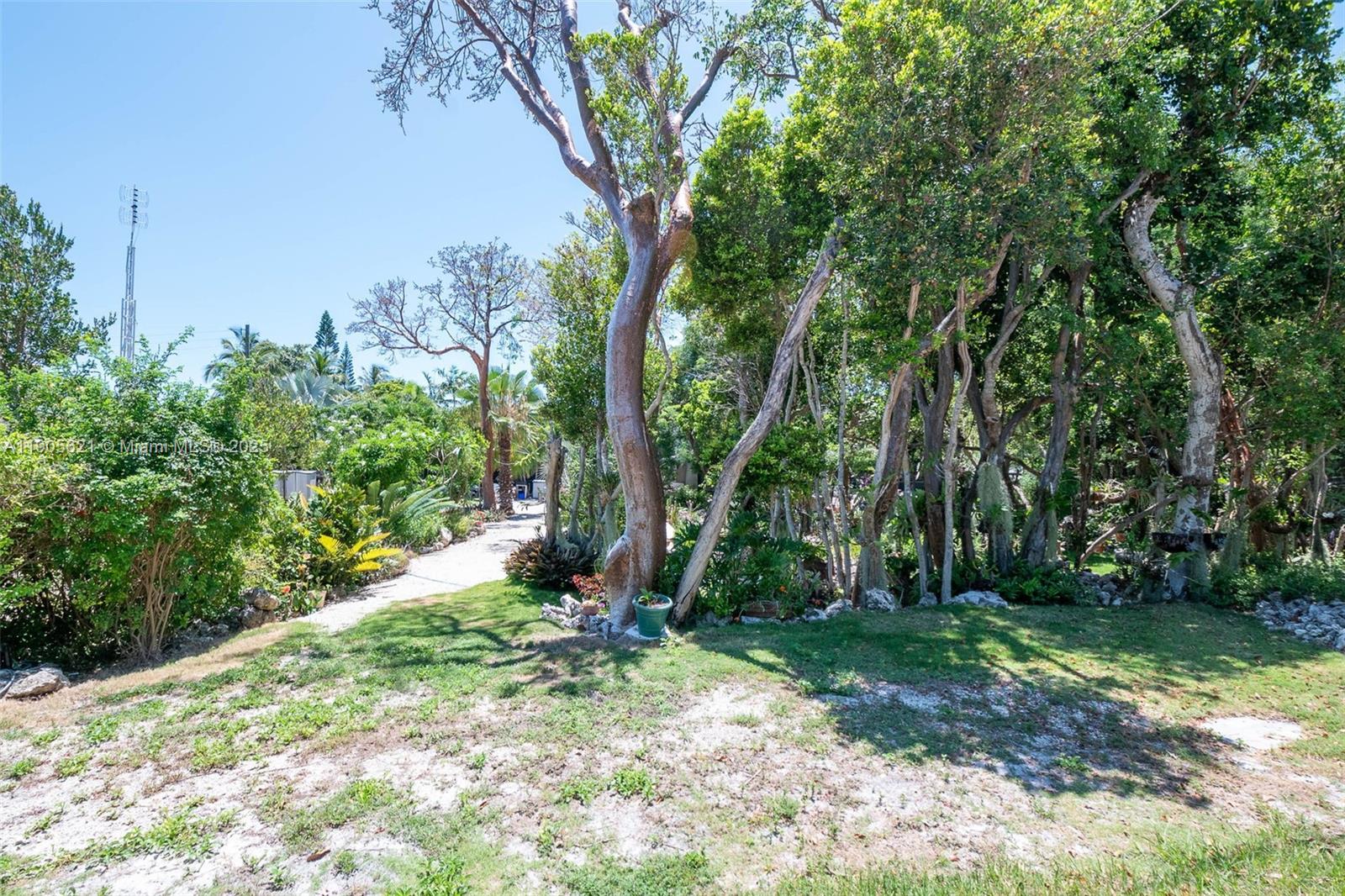 306 Lime Street Key Largo, FL 33037 - Photo 36 of 37 a backyard of a house with lots of green space