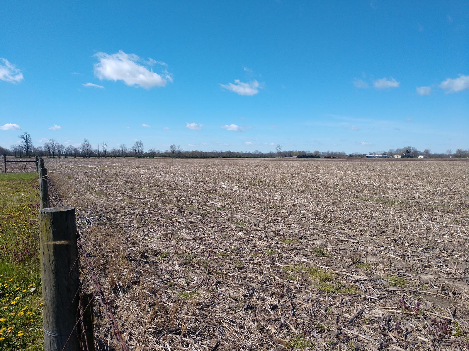 5300 Milton Carlisle Road Springfield, OH 45504 - Photo 9 of 18