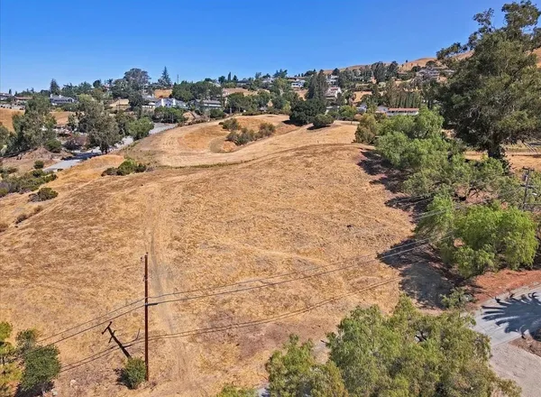 a view of a dry yard with trees