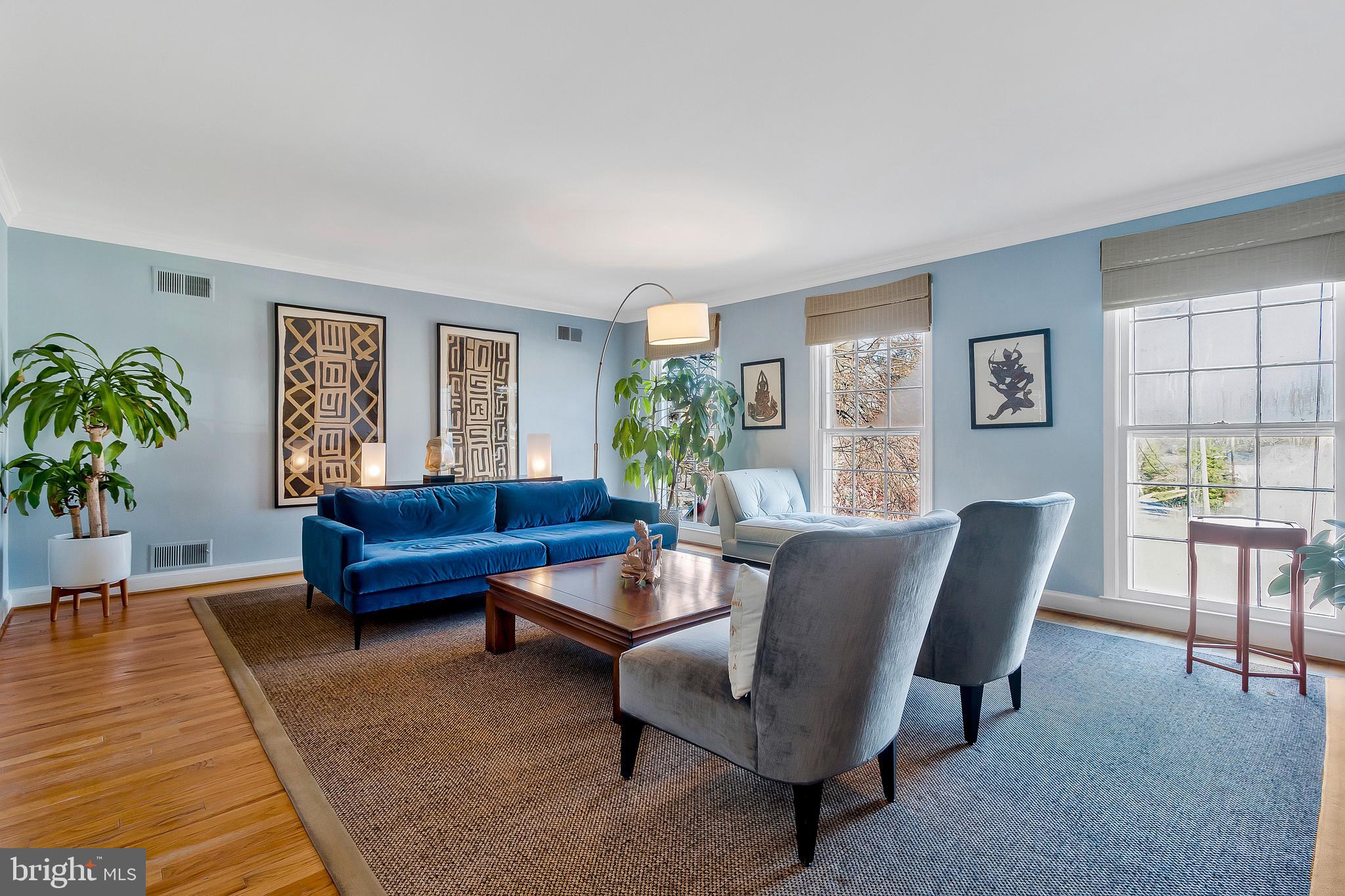 2812 Greenvale Street Chevy Chase, MD 20815 - Photo 2 of 27 a living room with furniture and a potted plant