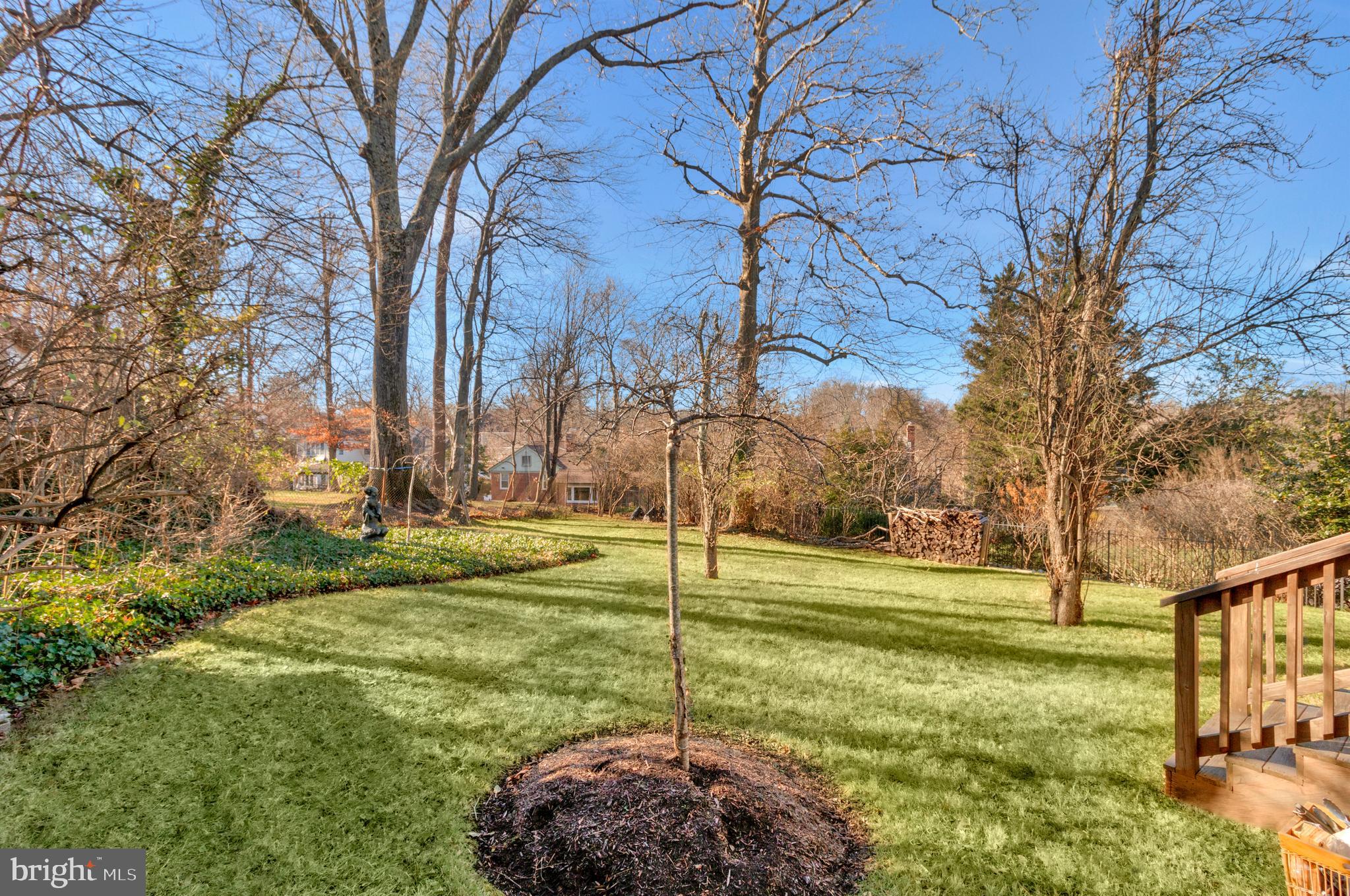 2812 Greenvale Street Chevy Chase, MD 20815 - Photo 24 of 27 a view of a park with large trees