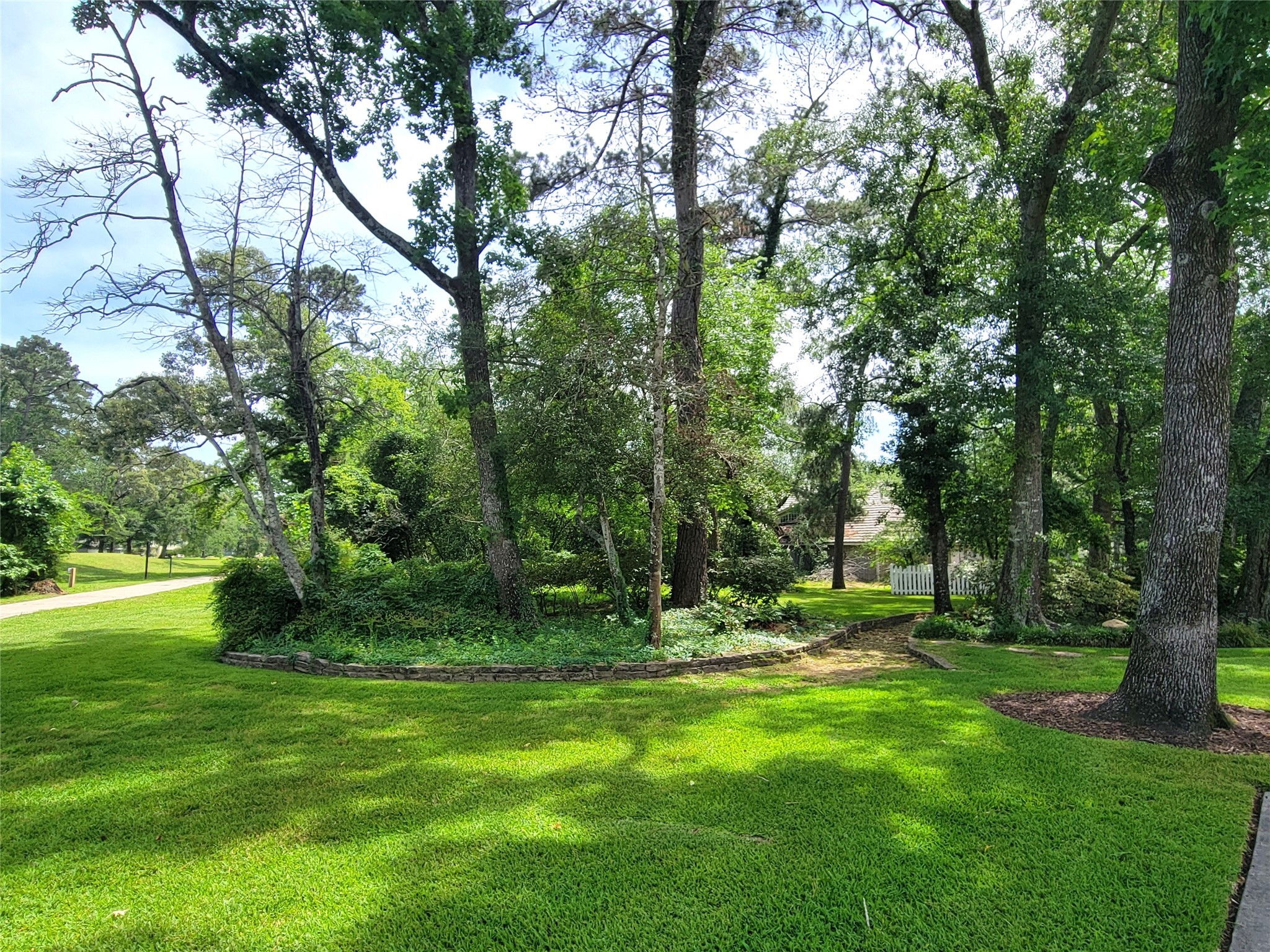 456 Lexington Court Conroe, TX 77302 - Photo 3 of 33 a view of a park with a tree