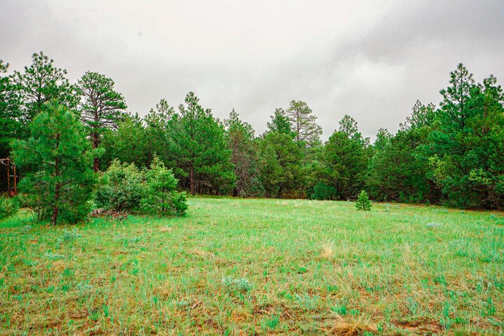 538 Rugby Mines Road Walsenburg, CO 81089 - Photo 7 of 70