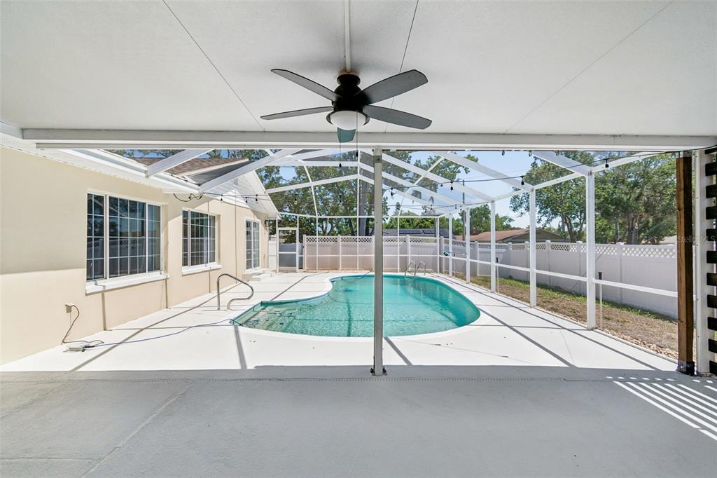 2959 Maple Court Dunedin, FL 34698 - Photo 56 of 63