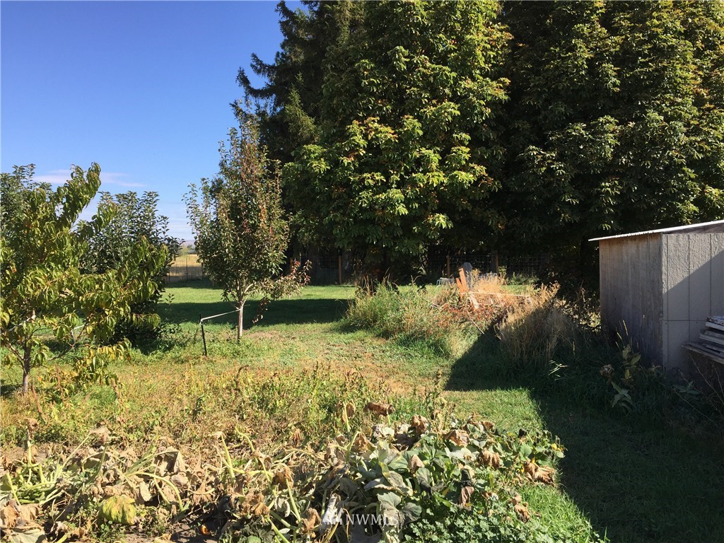 291 Number 6 Road Ellensburg, WA 98926 - Photo 24 of 25 Gallery Image 24