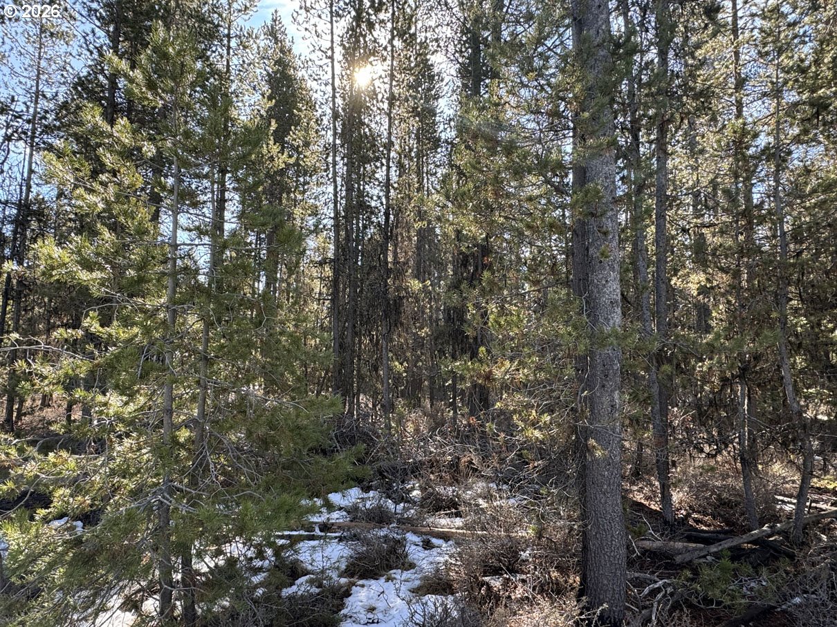 Keyser Circle, Unit 28 Chiloquin, OR 97624 - Photo 12 of 32 a view of a forest