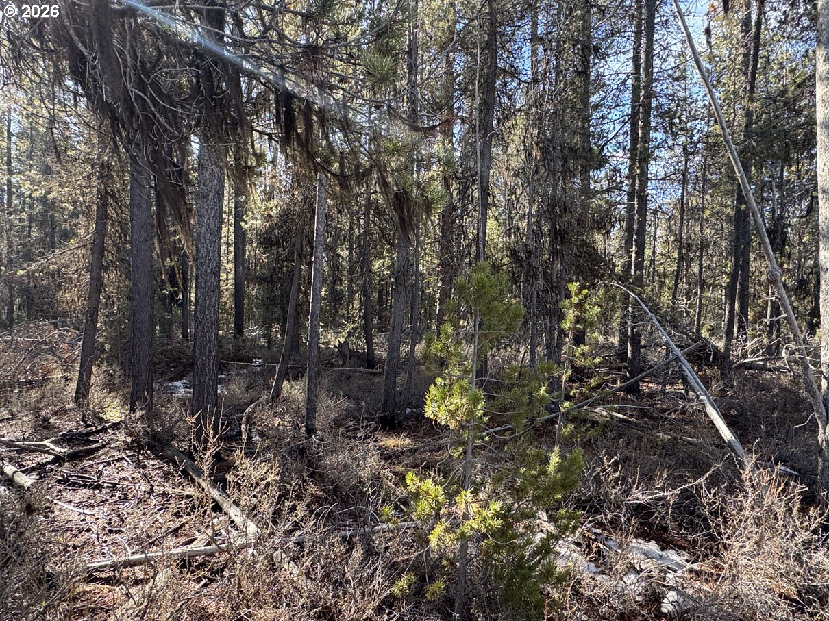 Keyser Circle, Unit 28 Chiloquin, OR 97624 - Photo 15 of 32 a view of forest