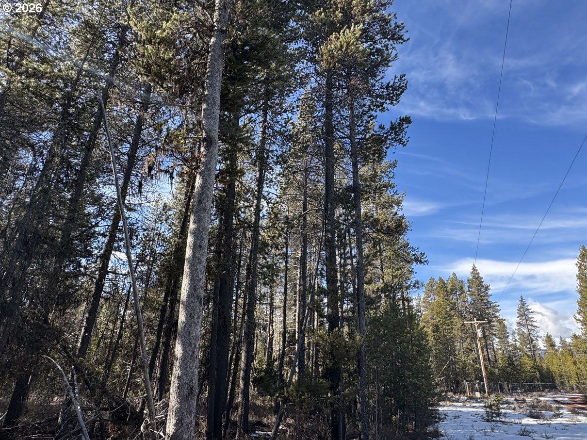 Keyser Circle, Unit 28 Chiloquin, OR 97624 - Photo 17 of 32 a view of forest