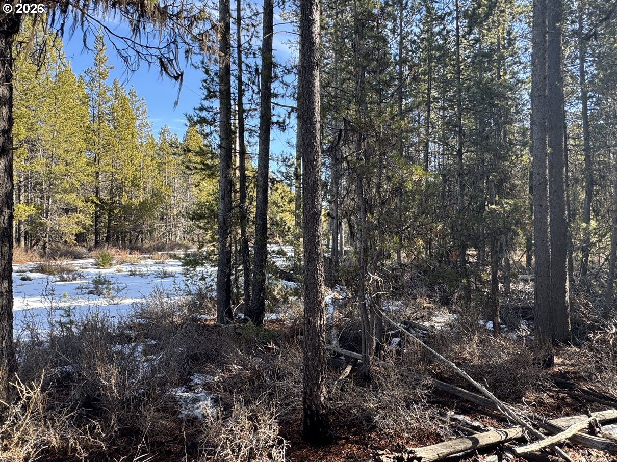 Keyser Circle, Unit 28 Chiloquin, OR 97624 - Photo 19 of 32 a view of forest