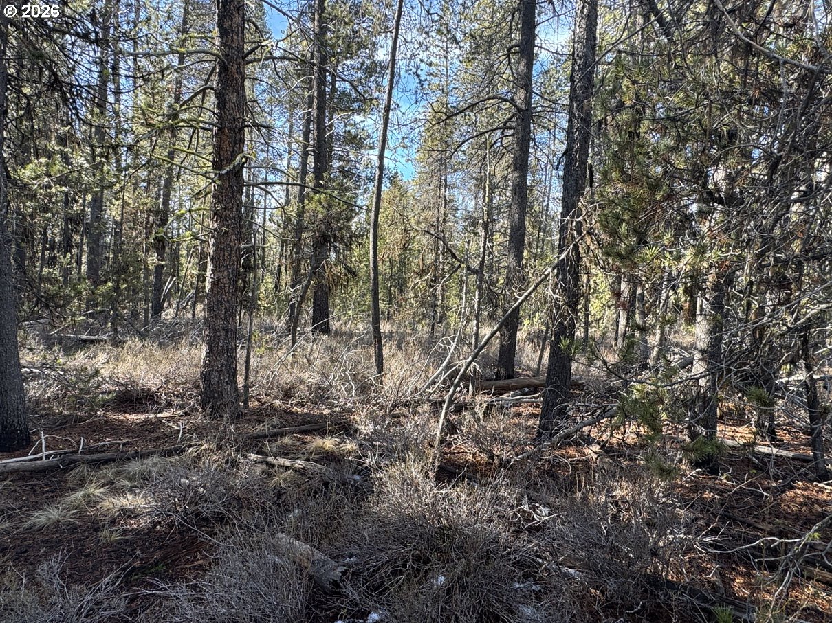Keyser Circle, Unit 28 Chiloquin, OR 97624 - Photo 20 of 32 a view of forest