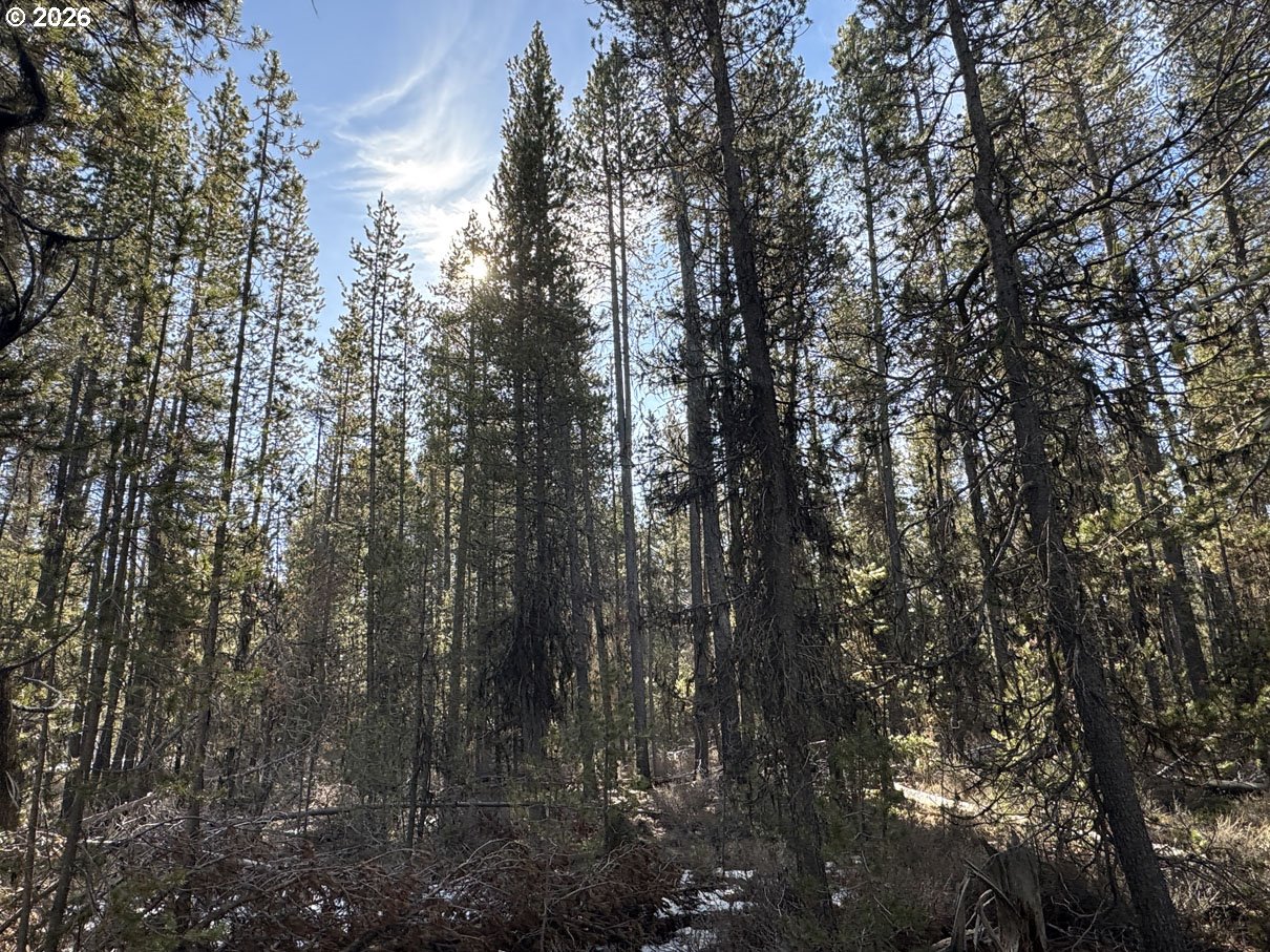 Keyser Circle, Unit 28 Chiloquin, OR 97624 - Photo 21 of 32 a view of forest