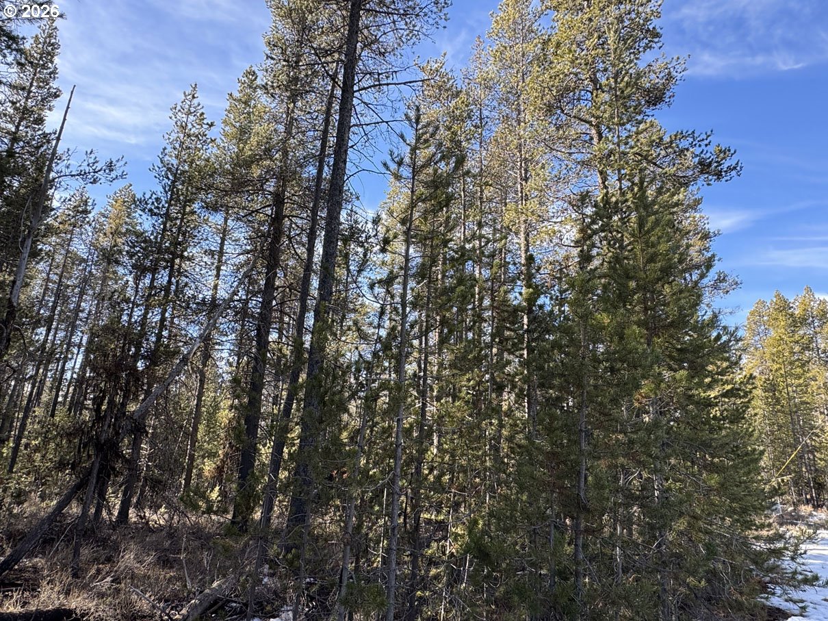 Keyser Circle, Unit 28 Chiloquin, OR 97624 - Photo 26 of 32