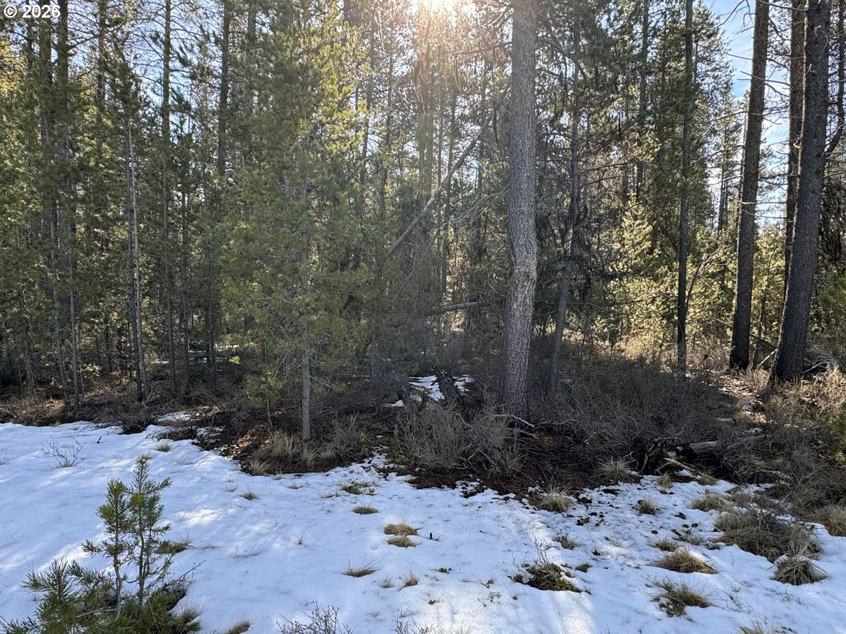 Keyser Circle, Unit 28 Chiloquin, OR 97624 - Photo 29 of 32 a view of a forest with trees