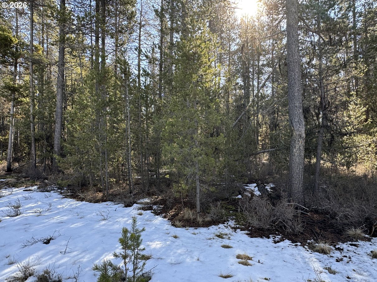 Keyser Circle, Unit 28 Chiloquin, OR 97624 - Photo 30 of 32 a view of a covered with trees