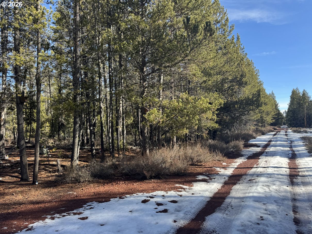 Keyser Circle, Unit 28 Chiloquin, OR 97624 - Photo 10 of 32 a view of a tree with yard