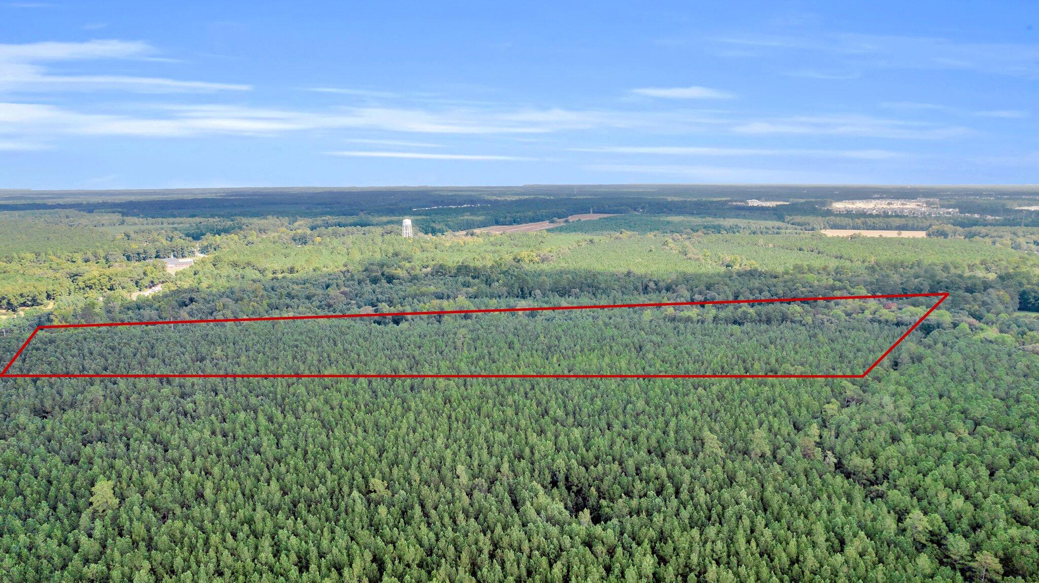 0 Jedburg Road Summerville, SC 29486 - Photo 13 of 14 CREM - 0 Jedburg Rd-13