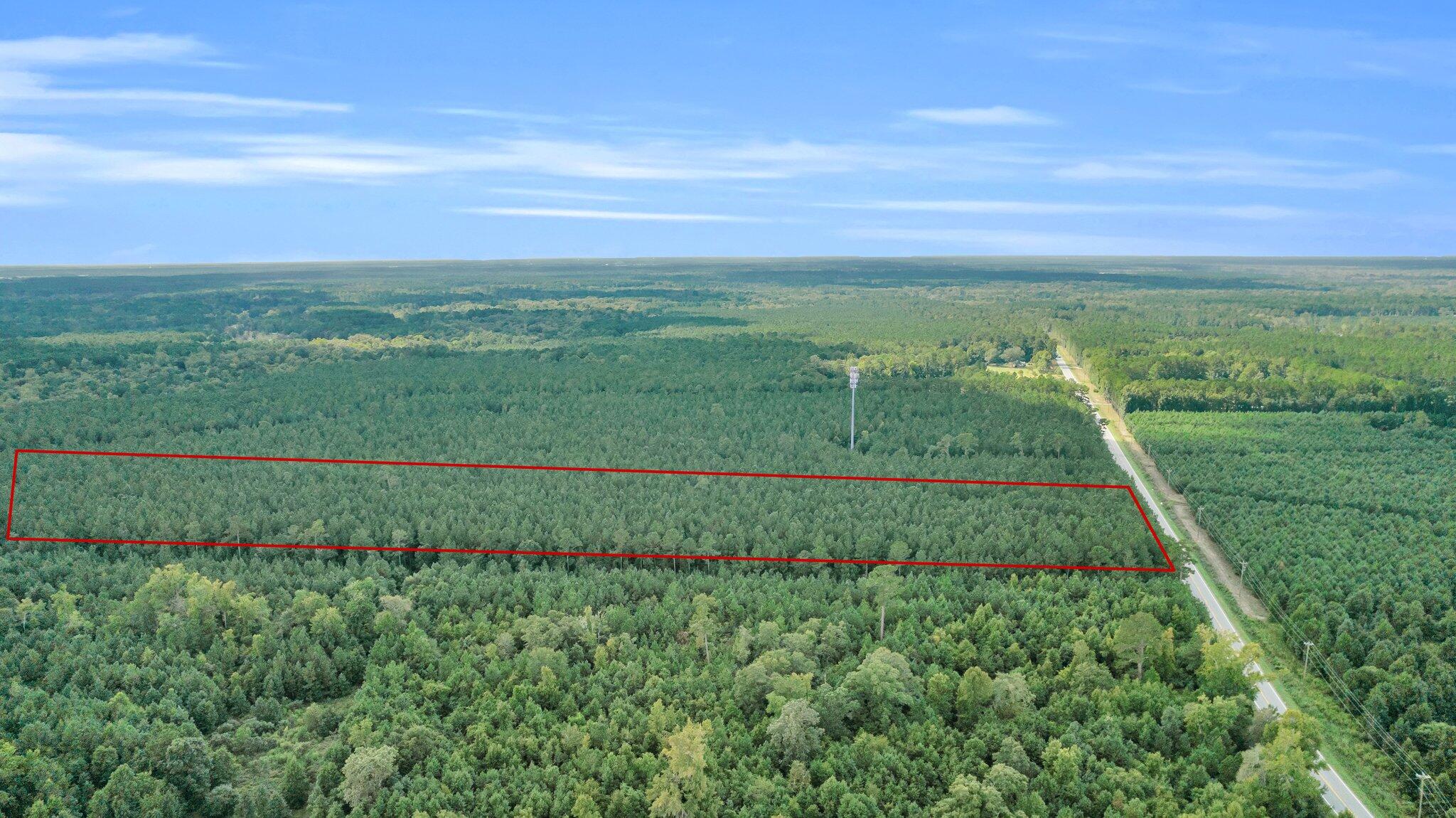 0 Jedburg Road Summerville, SC 29486 - Photo 3 of 14 CREM - 0 Jedburg Rd-3