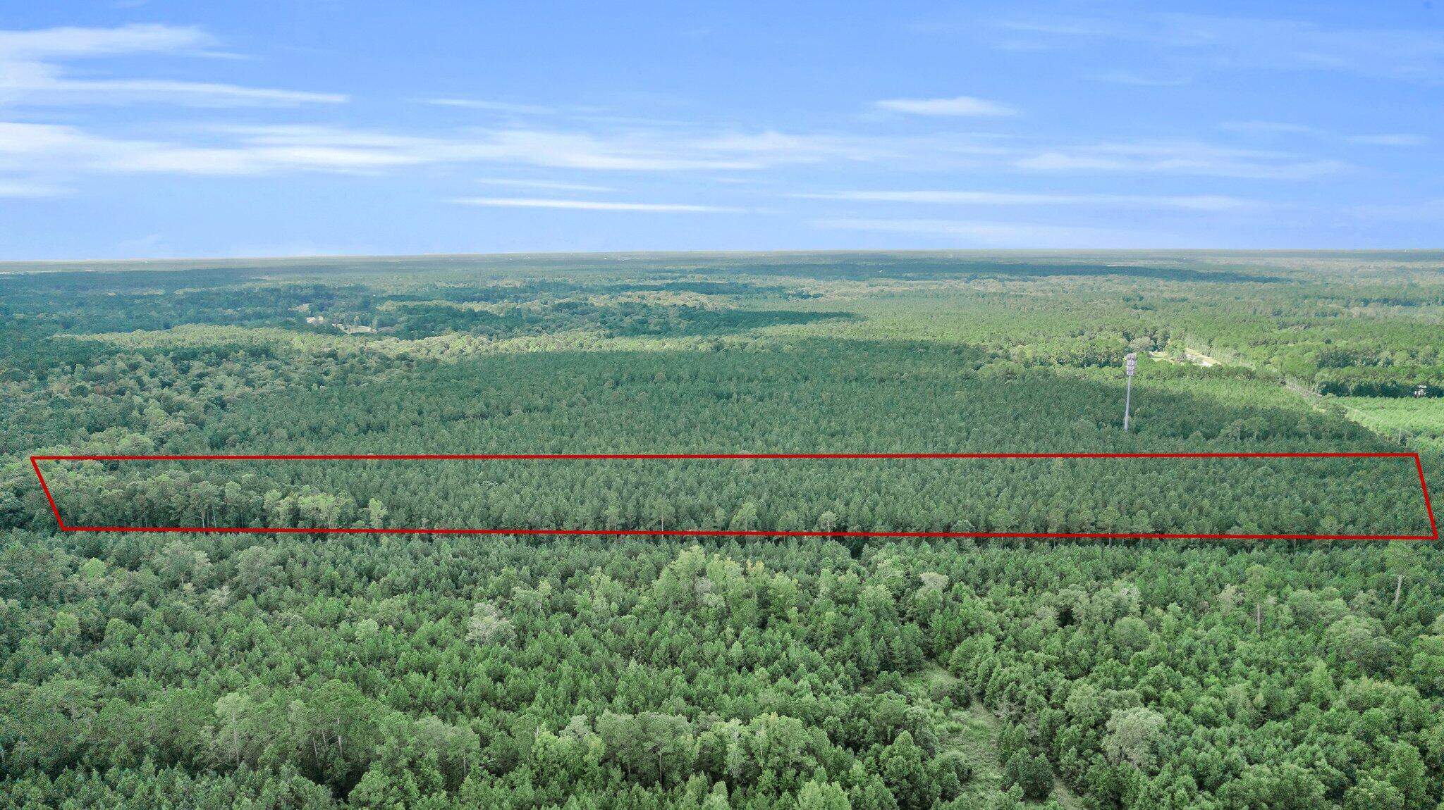 0 Jedburg Road Summerville, SC 29486 - Photo 4 of 14 CREM - 0 Jedburg Rd-4